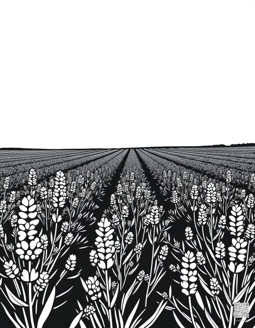A lavender field stretching to the horizon coloring page Woodcut style - free printable