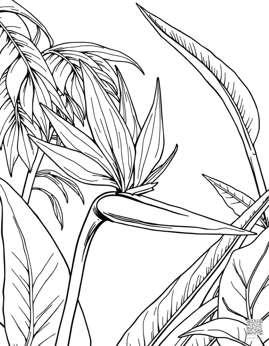 bird of paradise flower in tropical setting coloring page Manga style - free printable