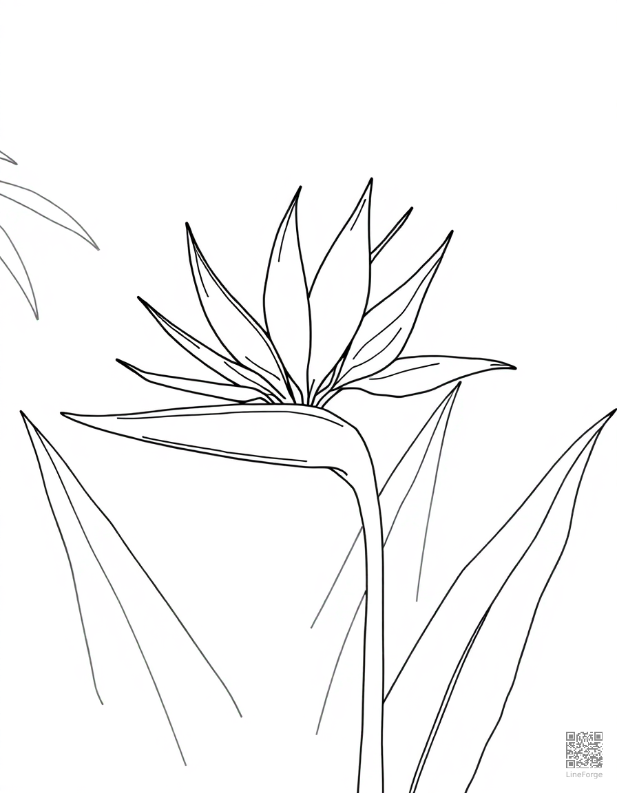 bird of paradise flower in tropical setting coloring page Minimal style - free printable