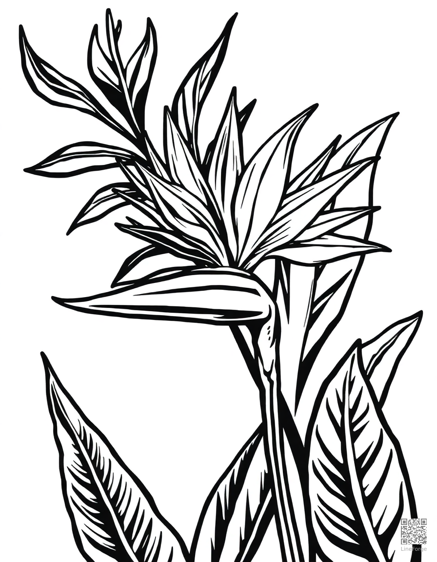 bird of paradise flower in tropical setting coloring page Woodcut style - free printable