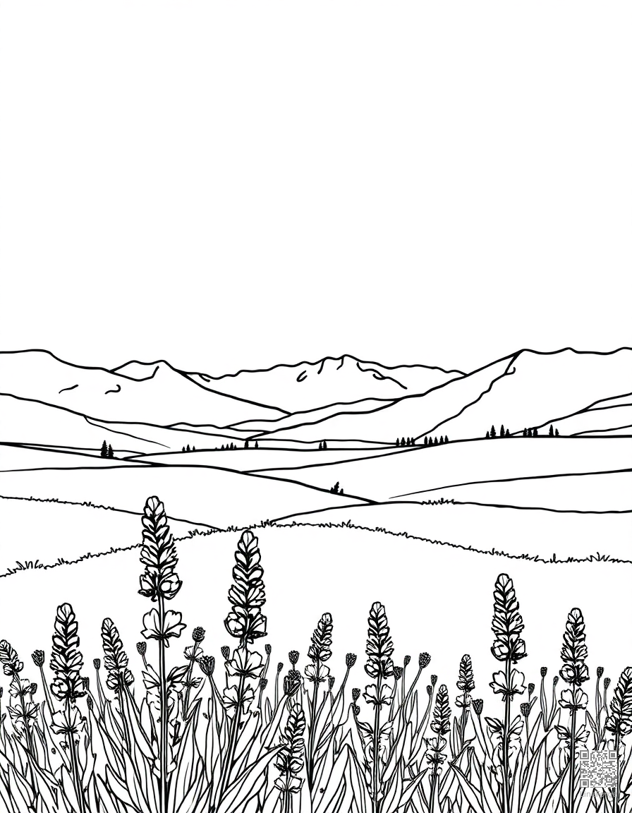 Free field of lavender stretching to mountains coloring page in contour style — printable line art
