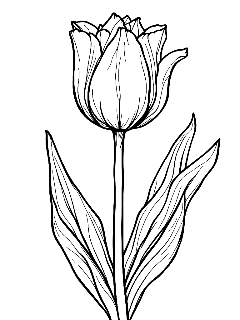A blooming tulip with leaves and stem coloring page Contour style free printable