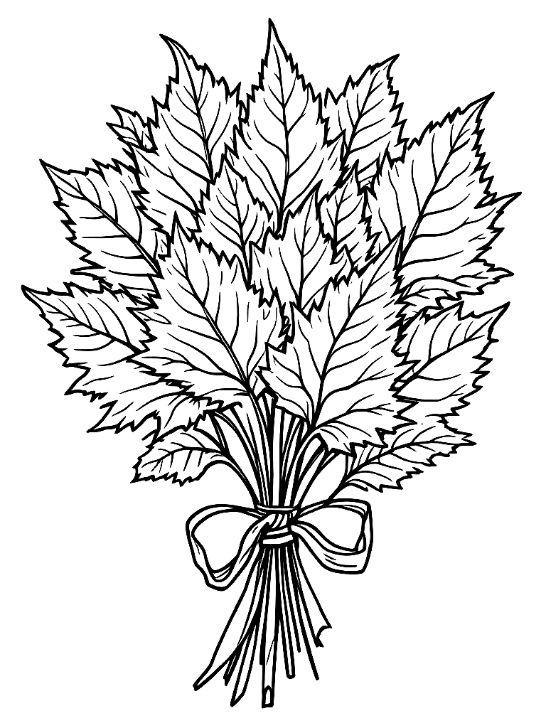 A bundle of fall leaves tied together with a ribbon coloring page Contour style free printable