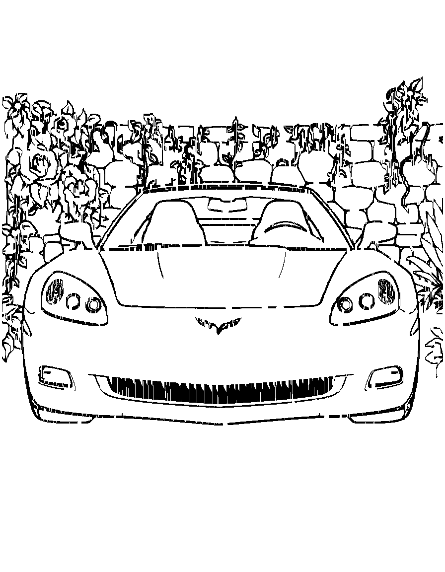 A Corvette automobile., from the front, facing the viewer, in a garden with vines and stone walls coloring page Contour style - free printable