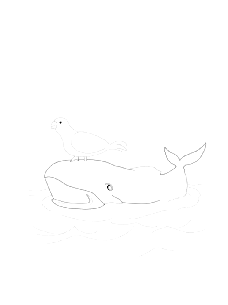 A giant whale on the water with a bird sitting on his head. waves on the ocean. coloring page Contour style - free printable