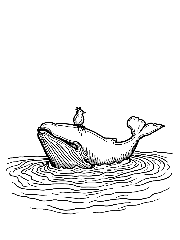 A giant whale on the water with a bird sitting on his head. waves on the ocean. coloring page Contour style - free printable