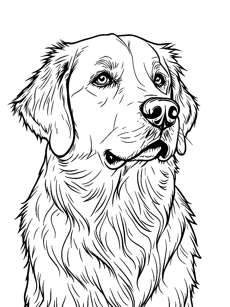 A golden retriever. coloring page Contour style free printable