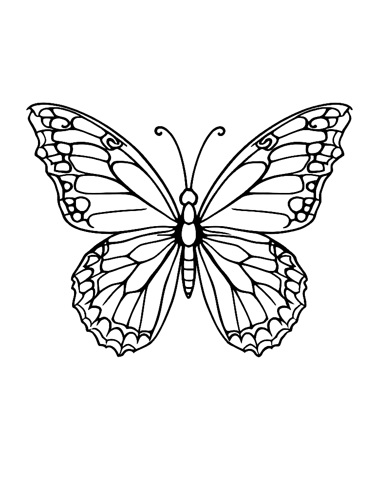 A peaceful butterfly with symmetrical wings coloring page Minimal style - free printable