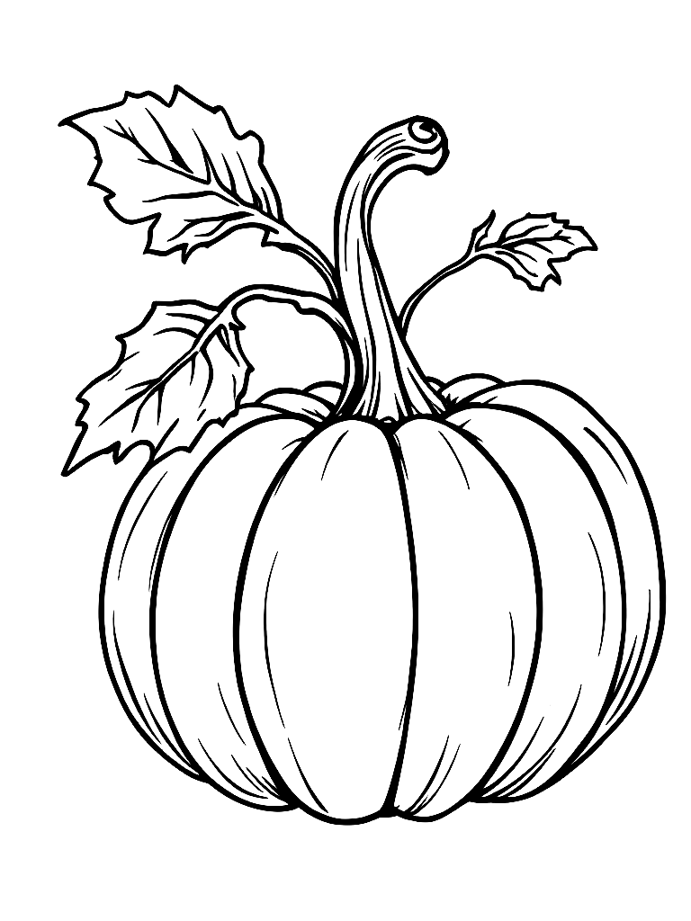 A pumpkin with stem and curling leaf coloring page Contour style - free printable