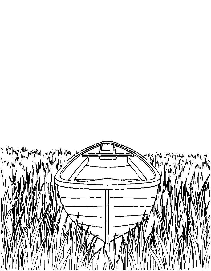 Free a row boat on a lake., from the front, facing the viewer, in a field of tall grass at golden hour coloring page in contour style — printable line art