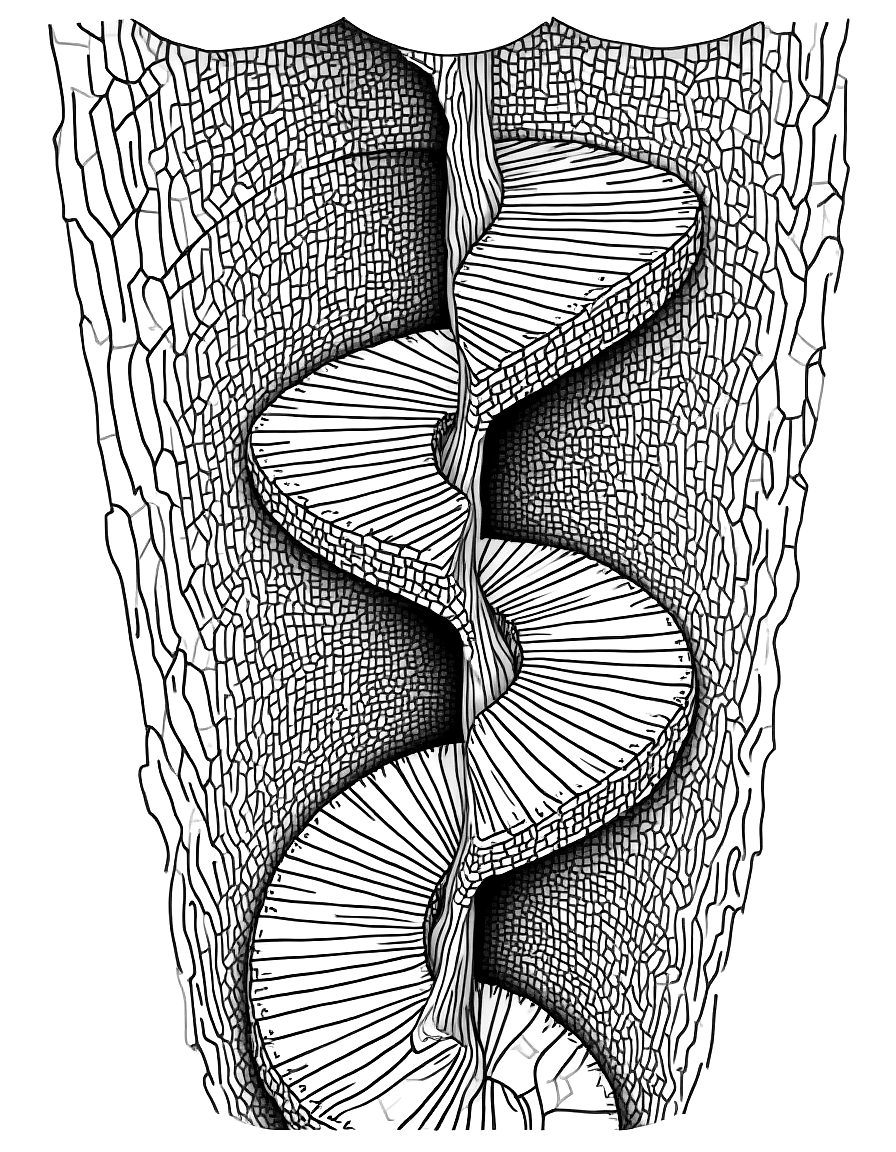 a spiral staircase descending infinitely coloring page Escher style free printable
