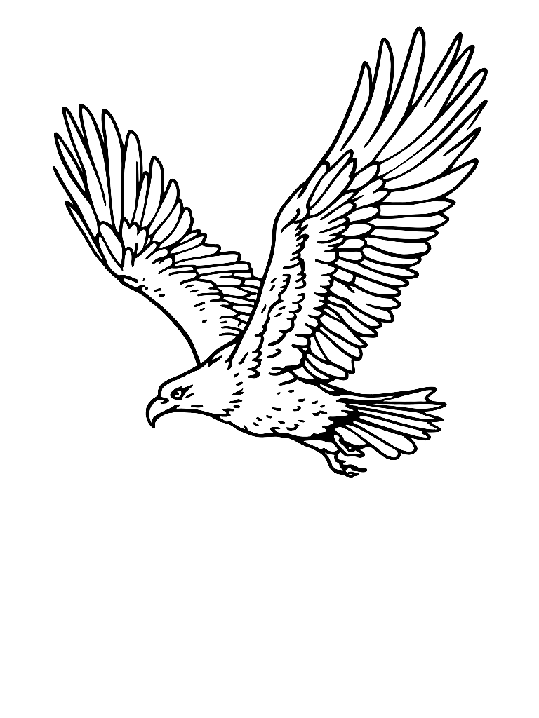 An eagle flying in the sky with its wings spread. coloring page Minimal style - free printable