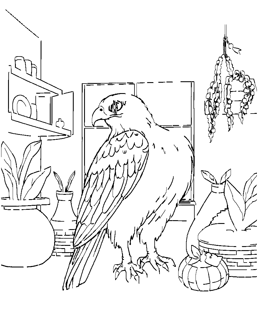 Free birds of prey., from a three-quarter side angle, in a cozy indoor setting with warm details coloring page in contour style — printable line art