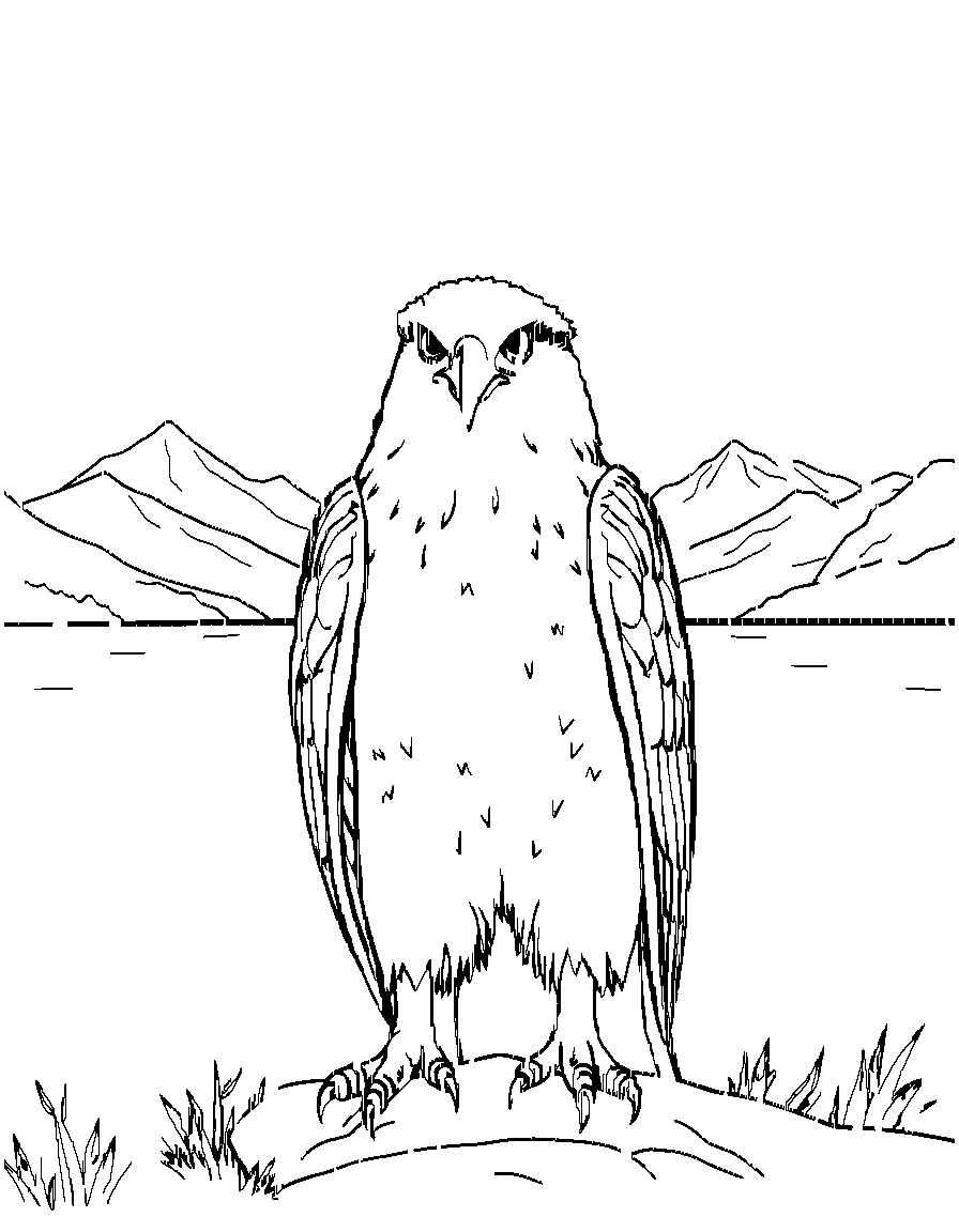 Free birds of prey., from the front, facing the viewer, by a calm lake with mountains in the background coloring page in contour style — printable line art
