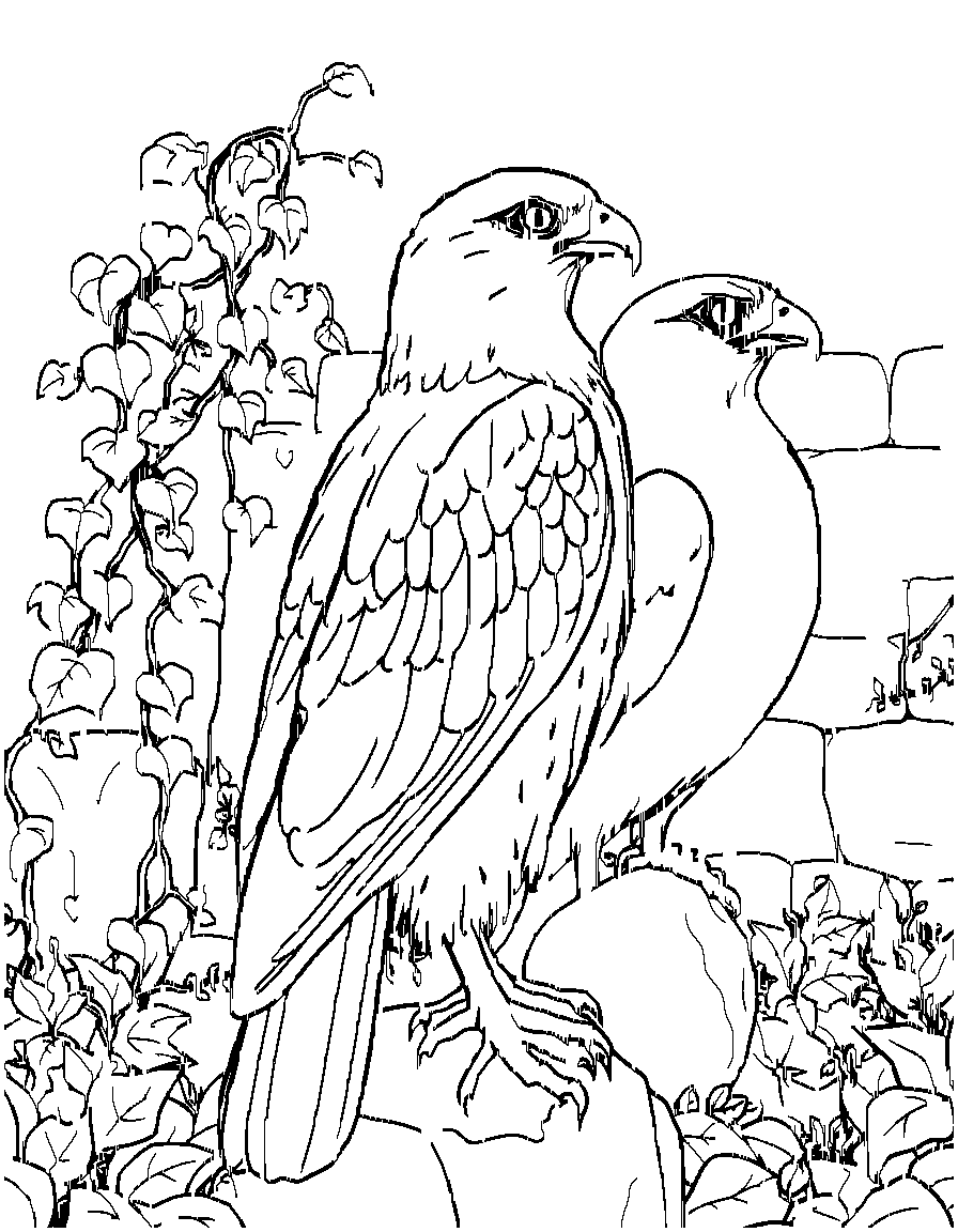 Free birds of prey., from the side in full profile view, in a garden with vines and stone walls coloring page in contour style — printable line art