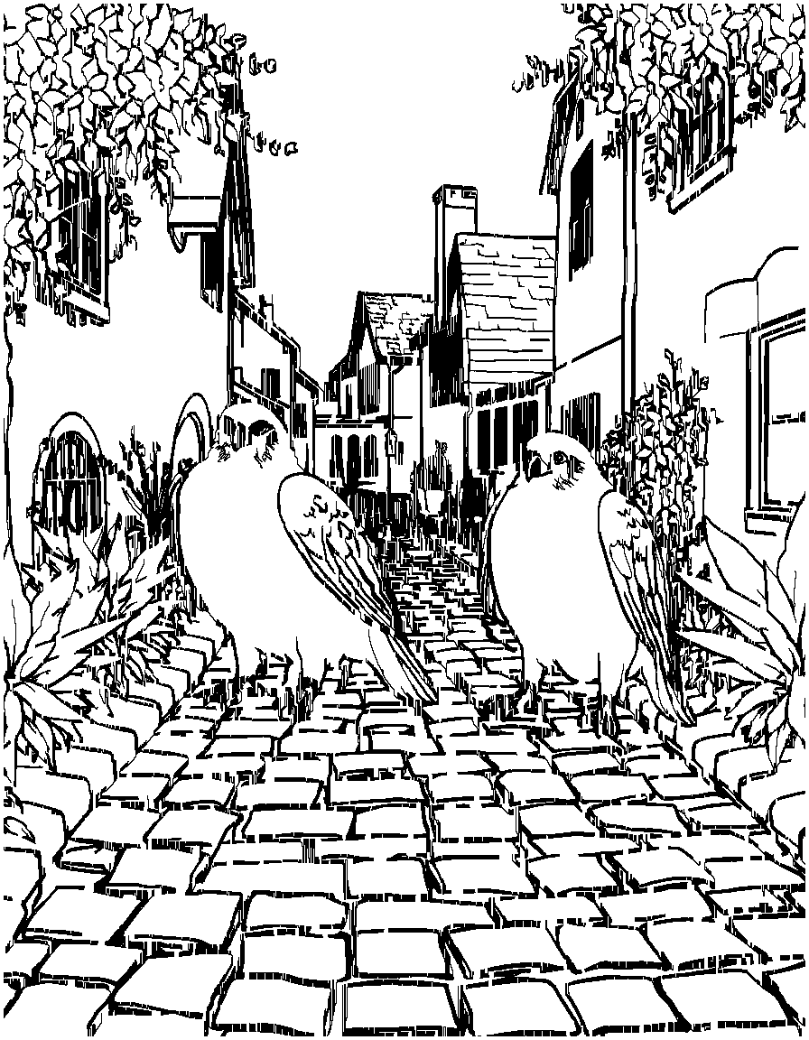 Free birds of prey., in a peaceful resting pose, on a cobblestone path in a charming village coloring page in contour style — printable line art
