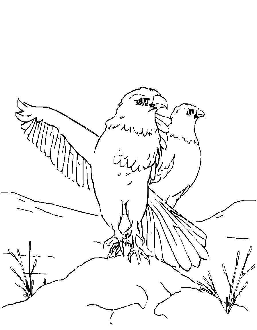 Free birds of prey., in an action pose with dynamic movement, in a snowy winter landscape coloring page in contour style — printable line art