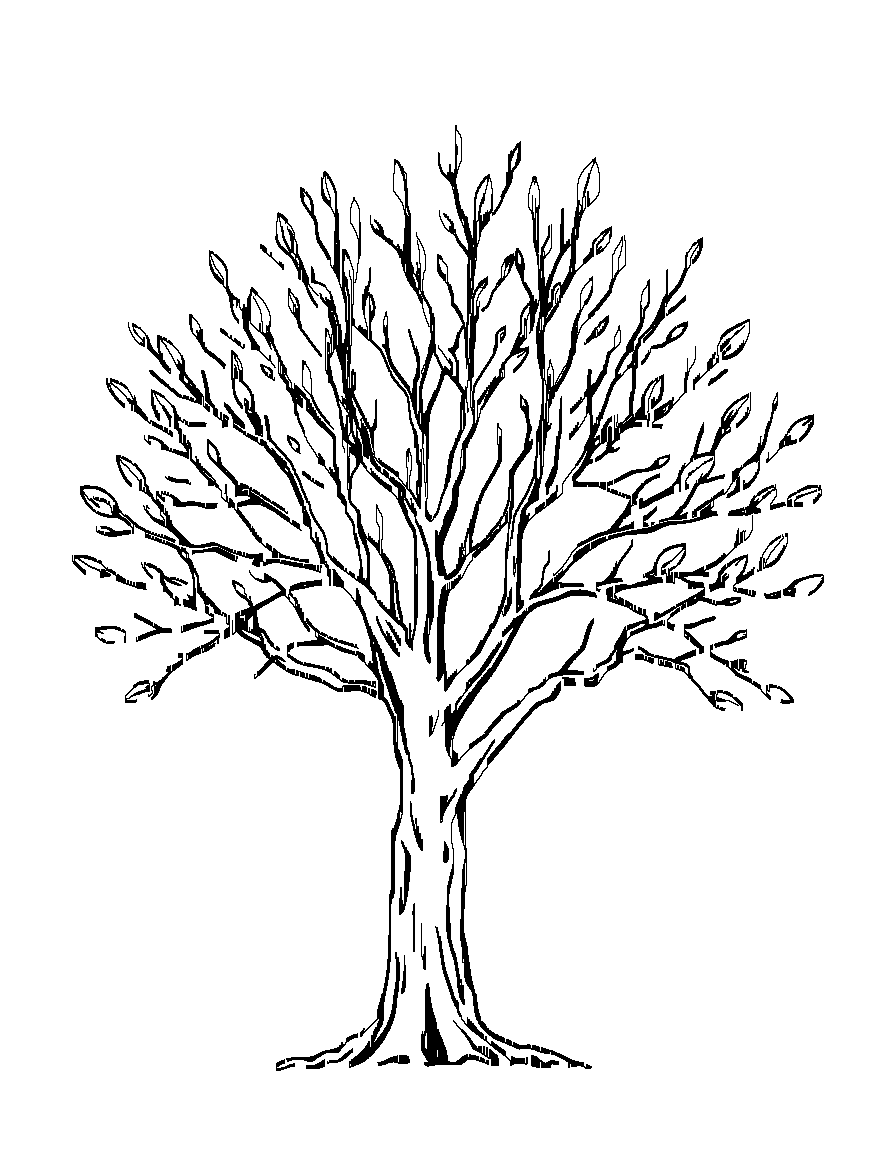 Black and white line art illustration, clean vector-style outlines, consistent medium line weight, no shading, no grayscale, no cross-hatching, no fill, white background, centered composition, large open coloring spaces, minimal background detail, printable 8.5x11 coloring book page, professional coloring book style. A single tree in early spring with new buds forming on branches. coloring page Woodcut style - free printable