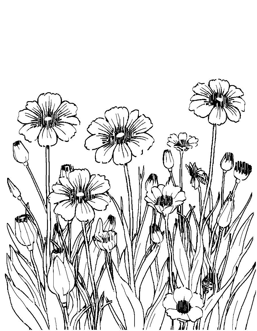 Flowers in a field. coloring page Contour style - free printable