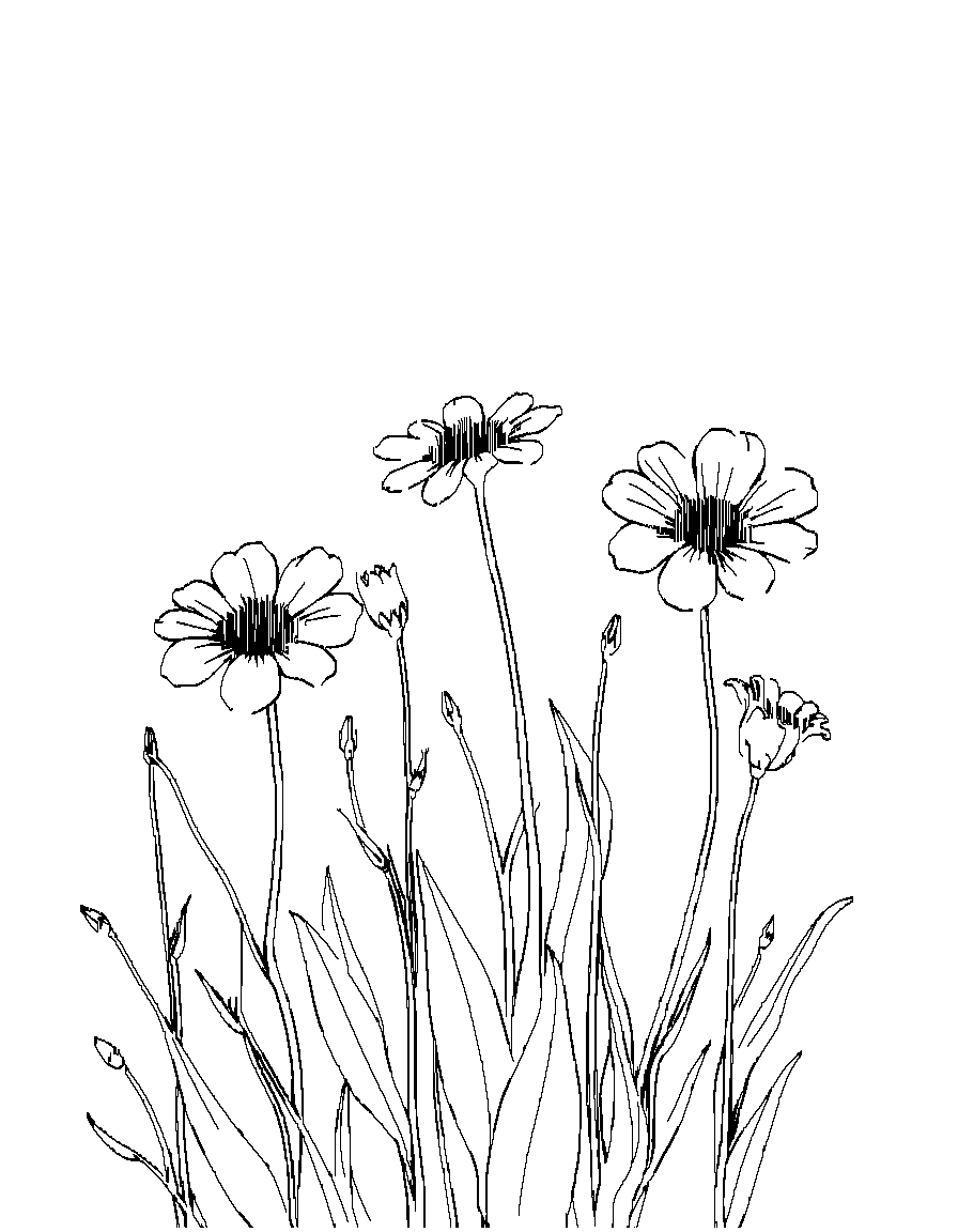 Flowers in a field. coloring page Contour style - free printable