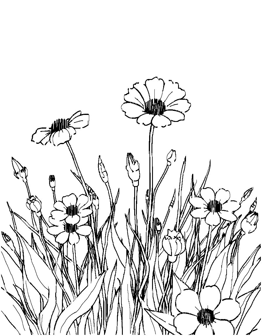 Flowers in a field. coloring page Contour style - free printable