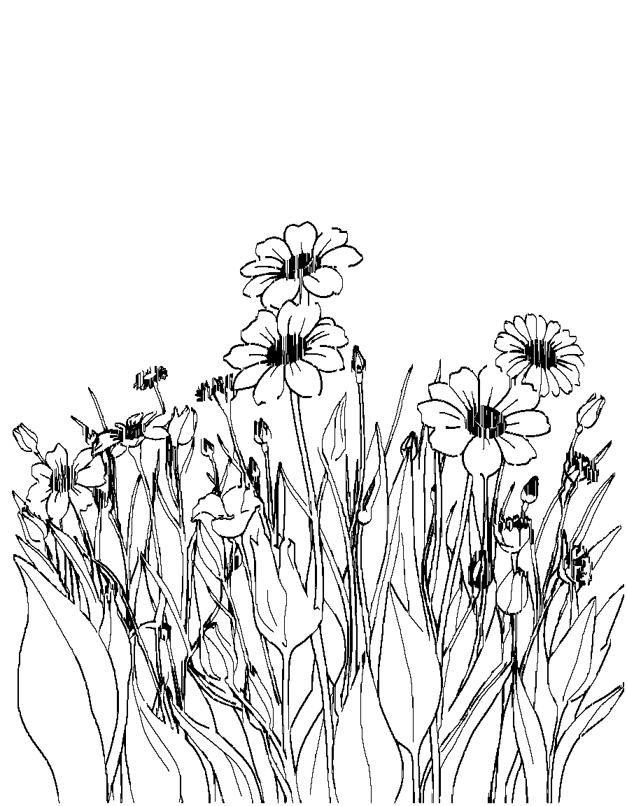 Flowers in a field. coloring page Contour style - free printable