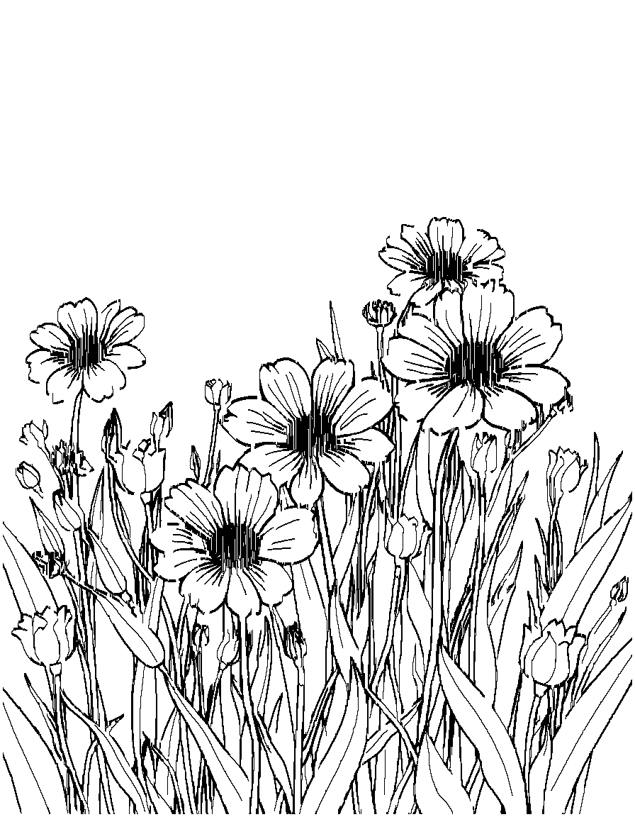 Free flowers in a field. coloring page in contour style — printable line art