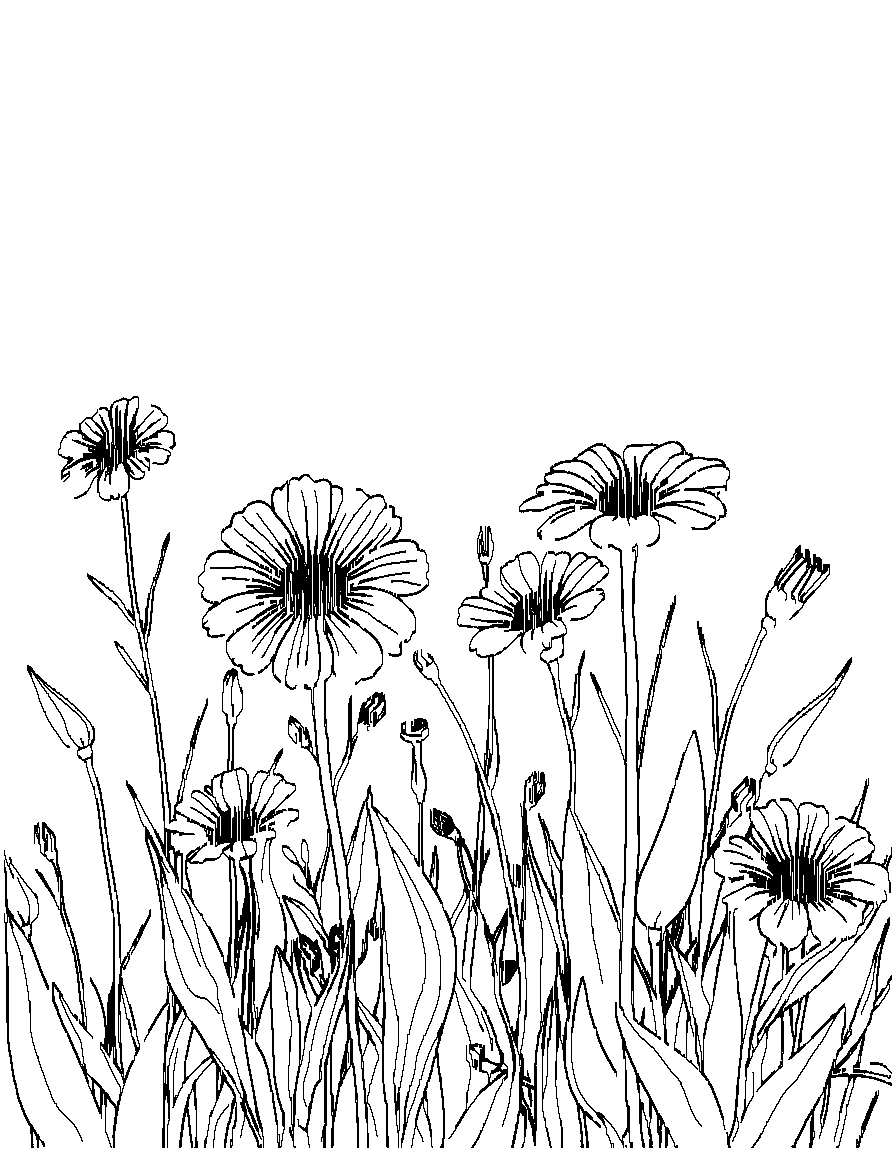 Free flowers in a field. coloring page in contour style — printable line art