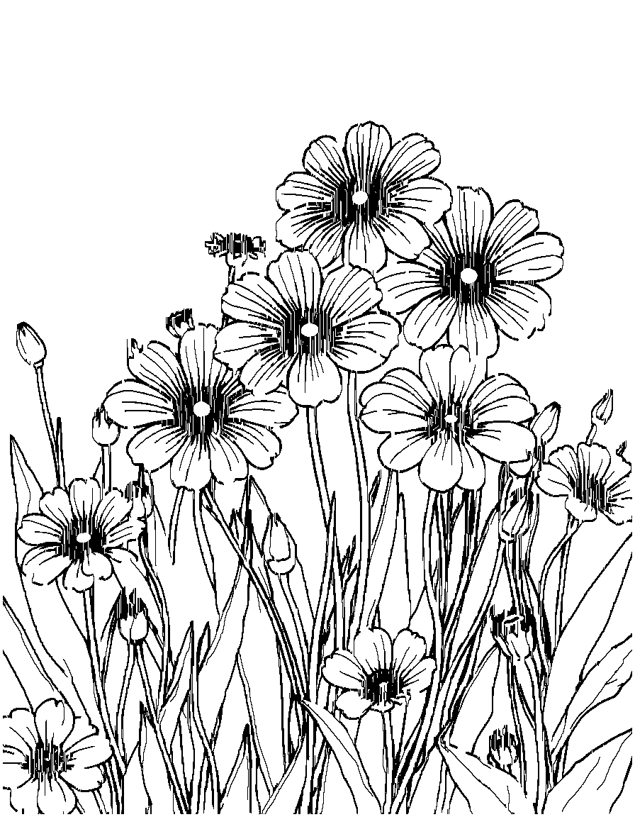 Free flowers in a field. coloring page in contour style — printable line art