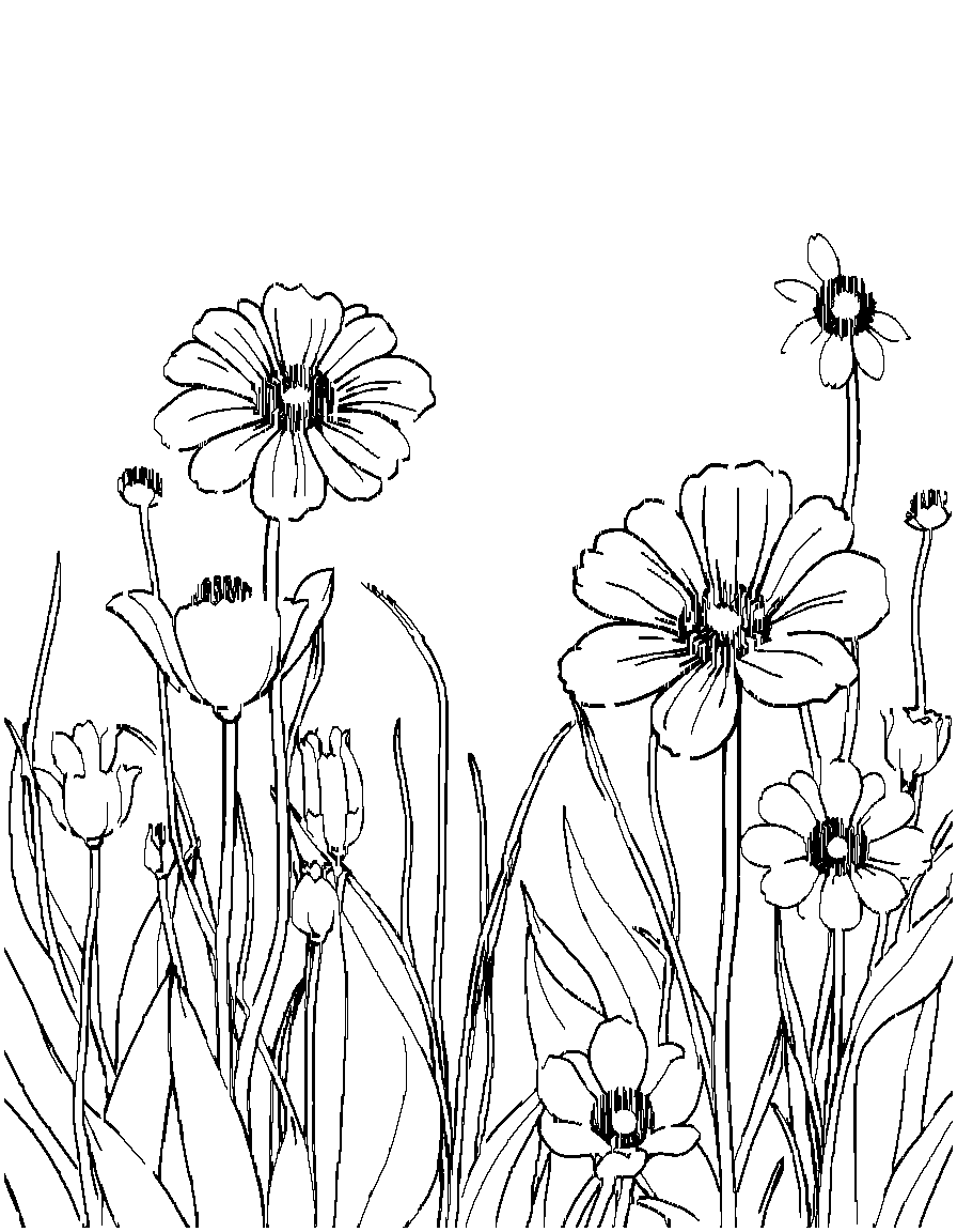 Free flowers in a field. coloring page in contour style — printable line art