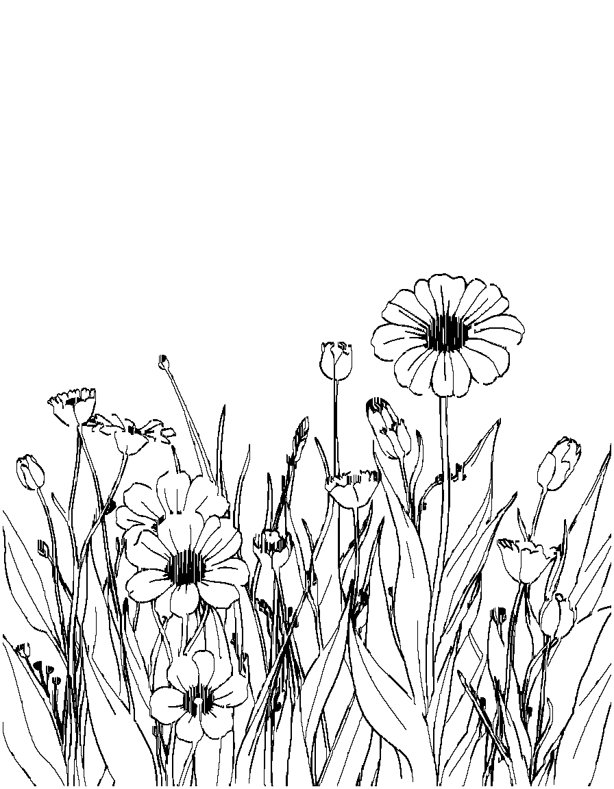 Free flowers in a field. coloring page in contour style — printable line art