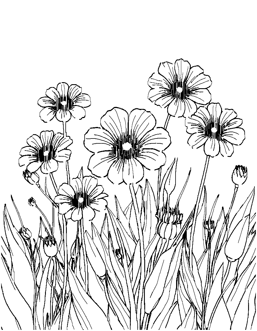 Free flowers in a field. coloring page in contour style — printable line art