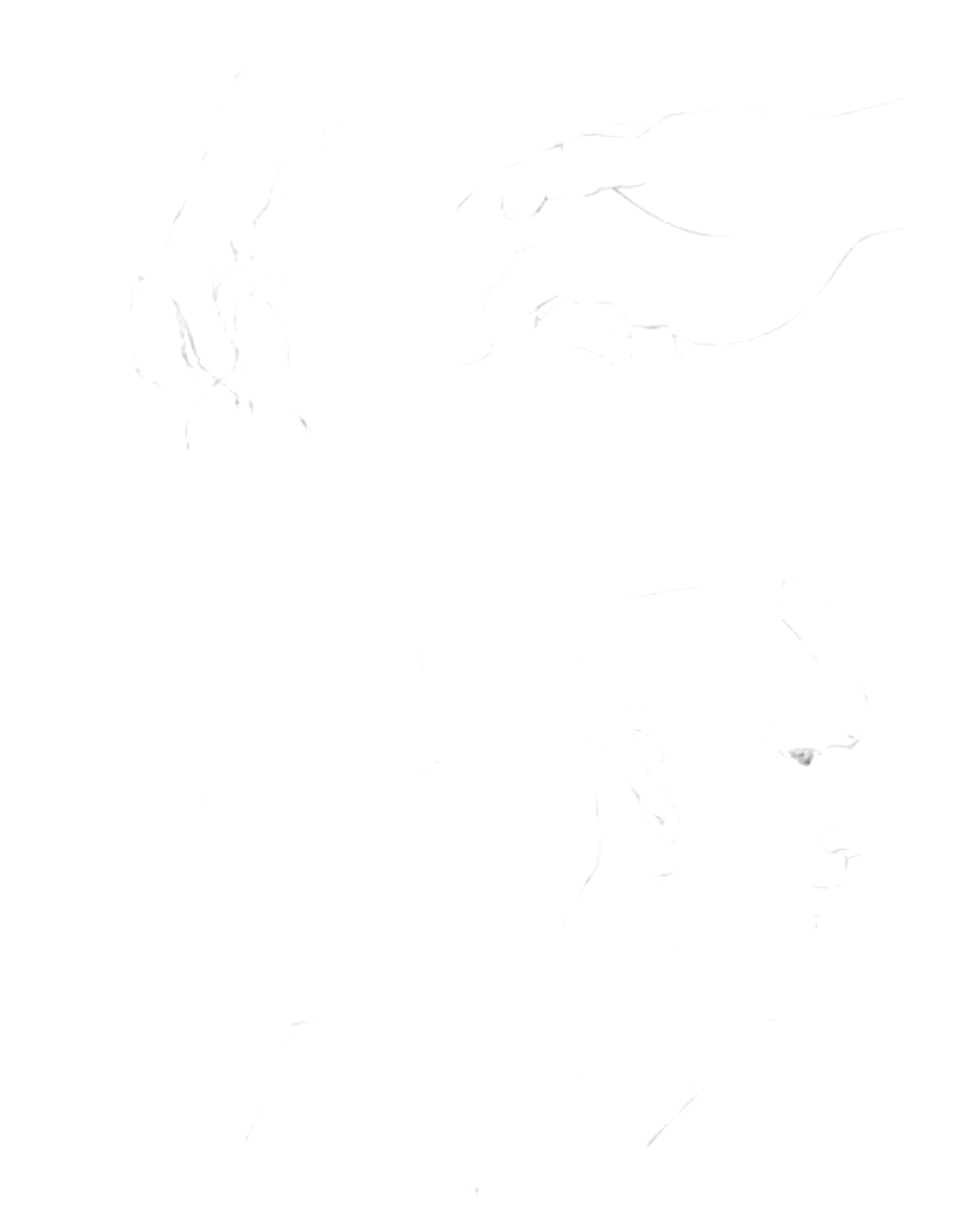 hands in multiple gestures as a study sheet coloring page Da Vinci style free printable