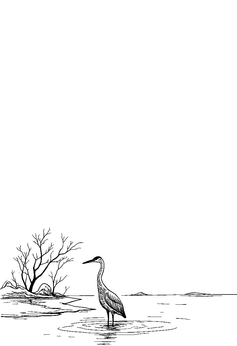 a heron standing in shallow water at sunset coloring page Hiroshige style - free printable