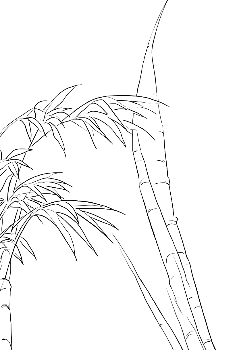 bamboo stalks bending in wind coloring page Hokusai style free printable