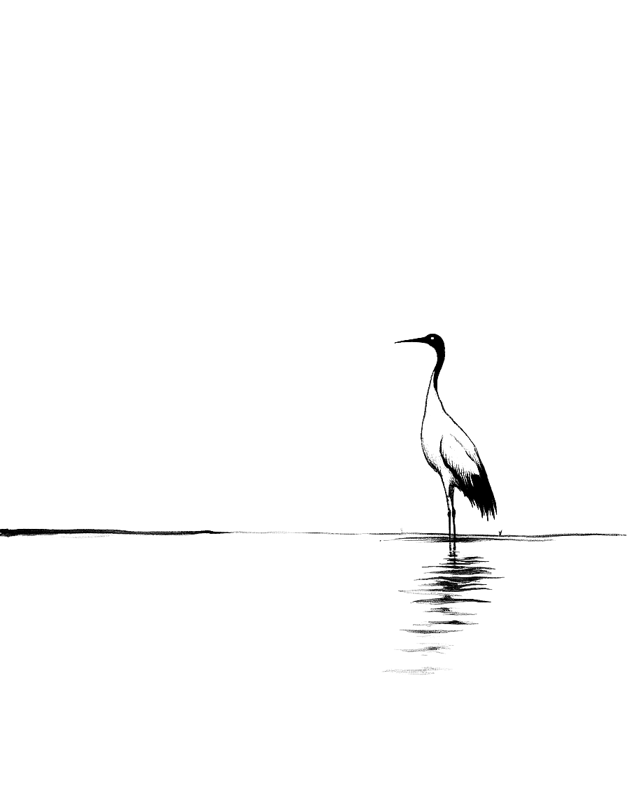 a single crane standing in shallow water coloring page Sumi-e style - free printable