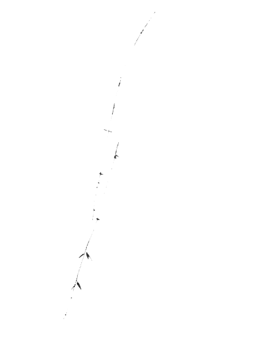 three bamboo stalks with leaves coloring page Sumi-e style free printable