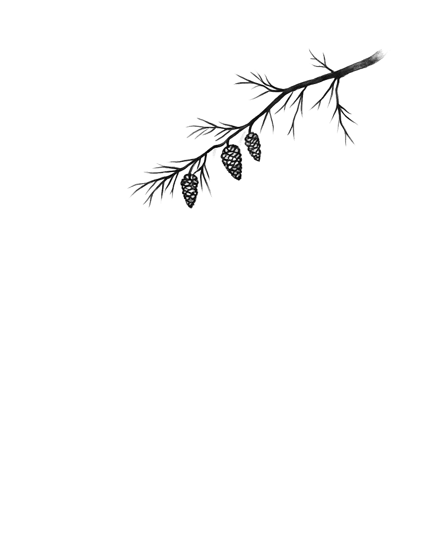 a pine branch with cones hanging over emptiness coloring page Sumi-e style free printable