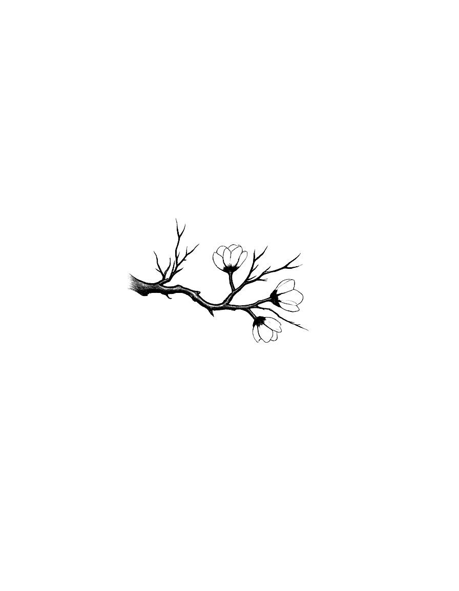 a plum blossom branch against empty white coloring page Sumi-e style free printable
