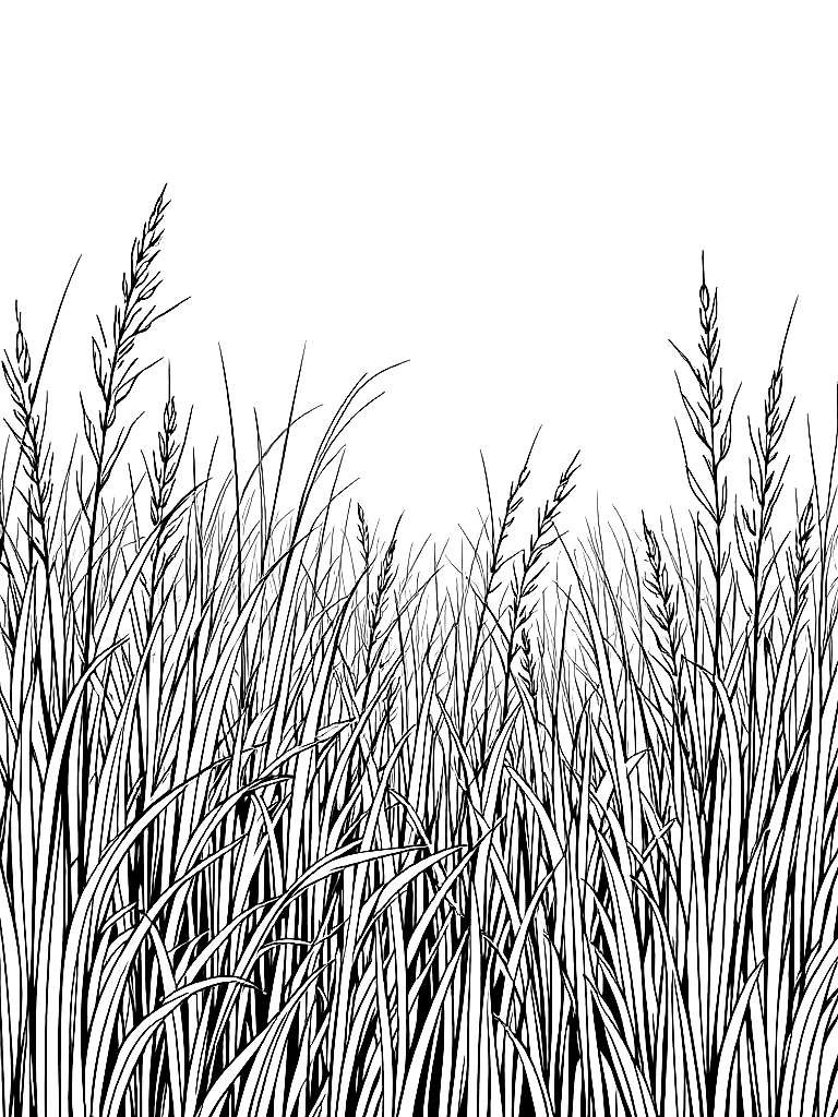 Free summer themed coloring pages, from a bird's eye view looking down, in a field of tall grass at golden hour coloring page in contour style — printable line art