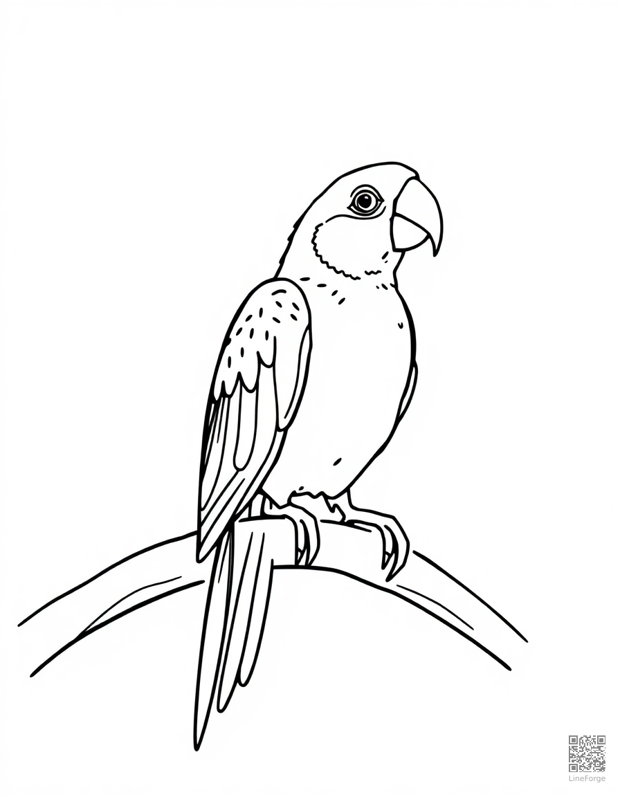 parrot perched on a pirate shoulder coloring page Minimal style - free printable