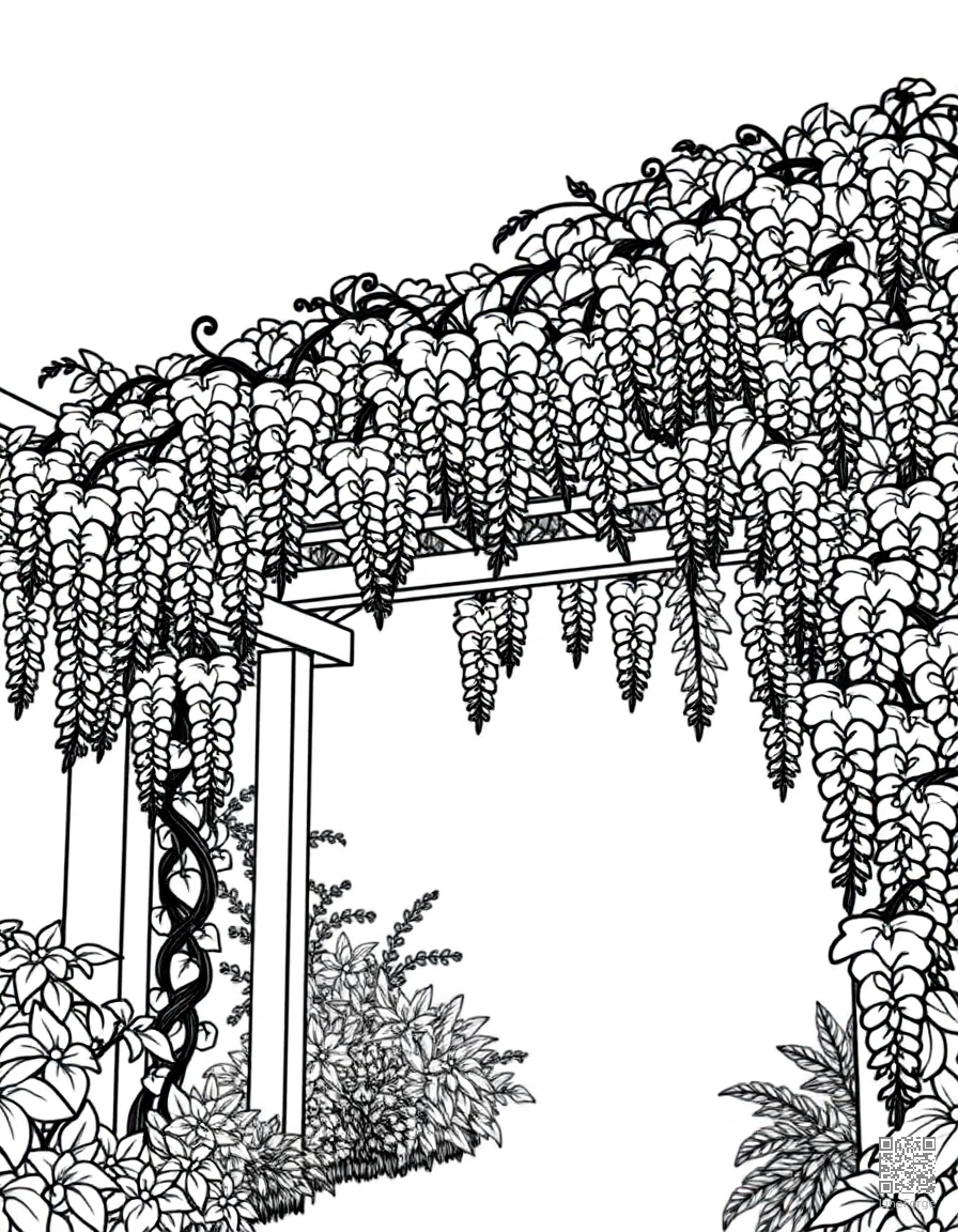 Free wisteria draped over a garden pergola coloring page in contour style — printable line art